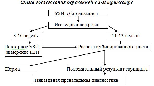 Схема обследования беременной